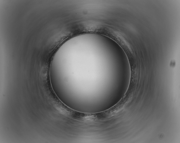 X0000091520505200708171219