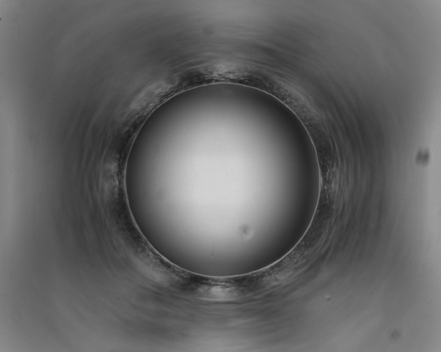 X0000091520506200708171219