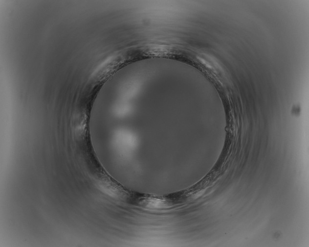 X0000091520507200708171219