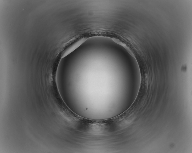 X0000091520508200708171219