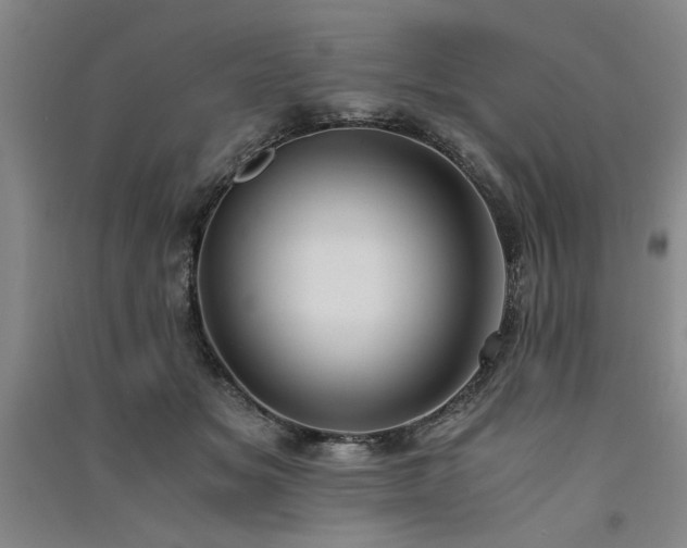 X0000091520509200708171219
