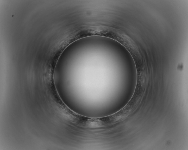 X0000091520510200708171219