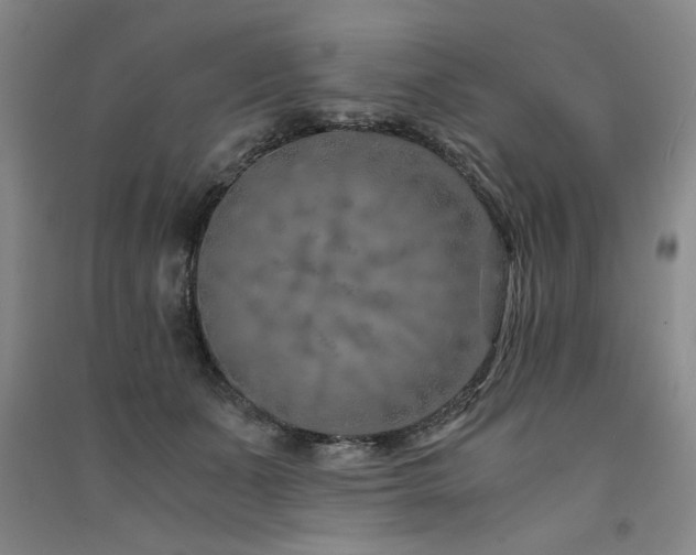 X0000091520511200708171219