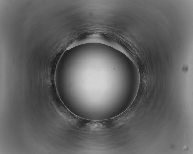 X0000091520512200708171219