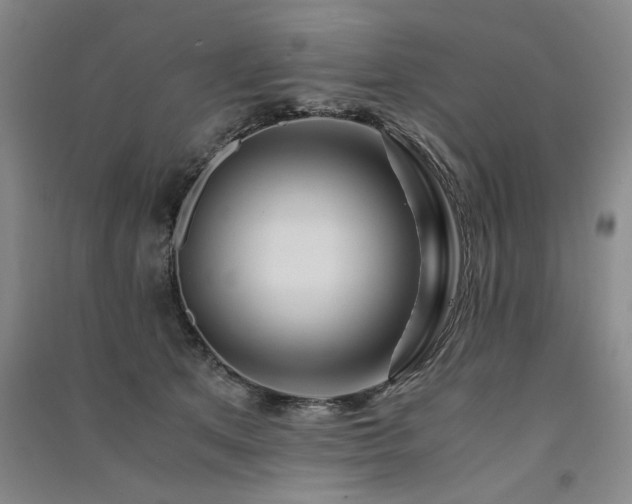 X0000091520513200708171219