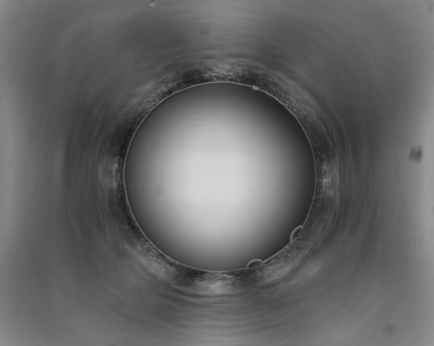 X0000091520514200708171219