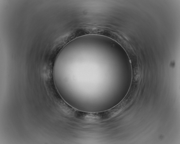 X0000091520515200708171219