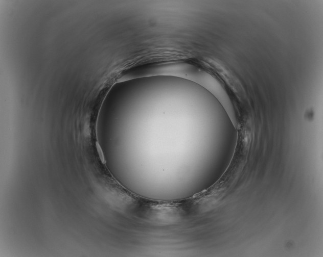 X0000091520516200708171219