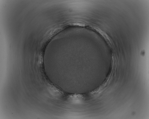 X0000091520517200708171219