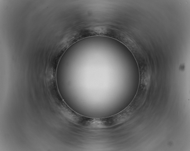 X0000091520518200708171219