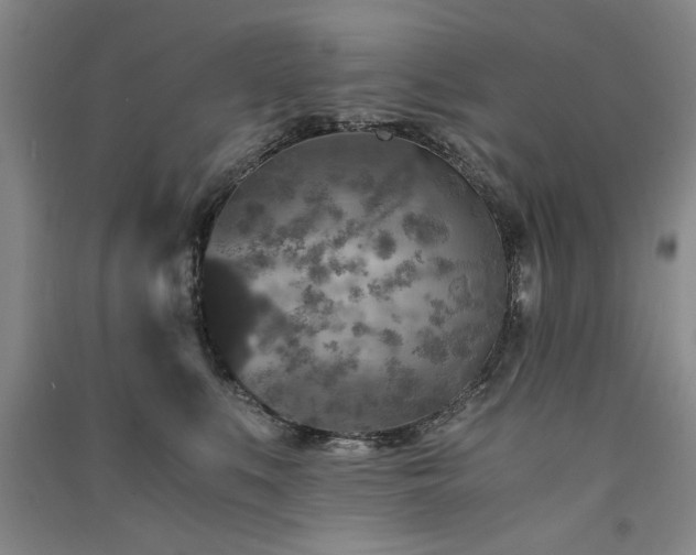 X0000091520519200708171219