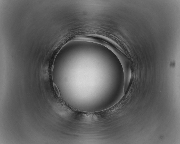 X0000091520520200708171219