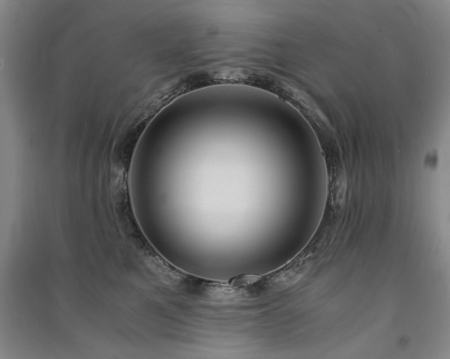 X0000091520521200708171219