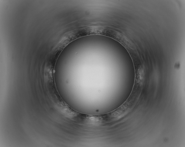 X0000091520522200708171219