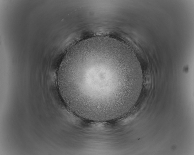 X0000091520523200708171219