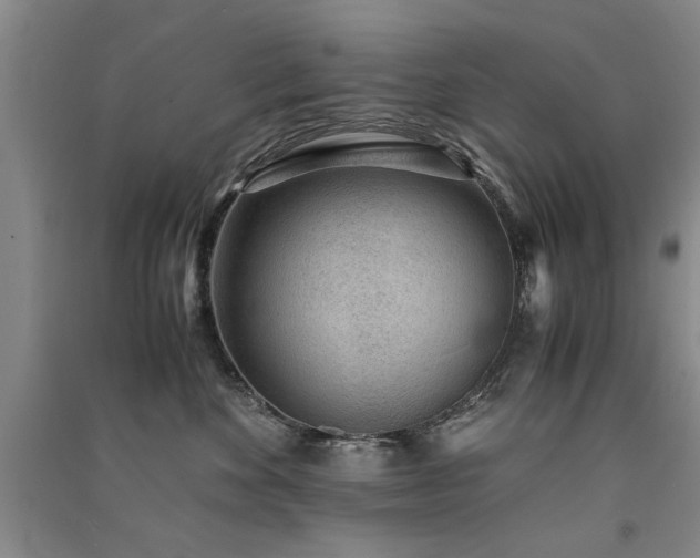 X0000091520524200708171219