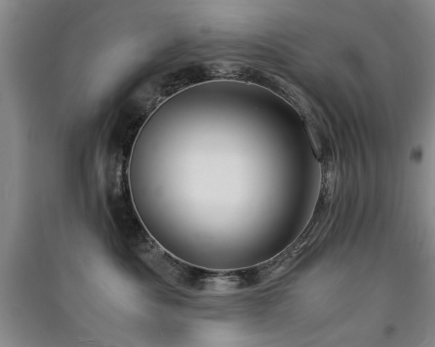 X0000091520525200708171219
