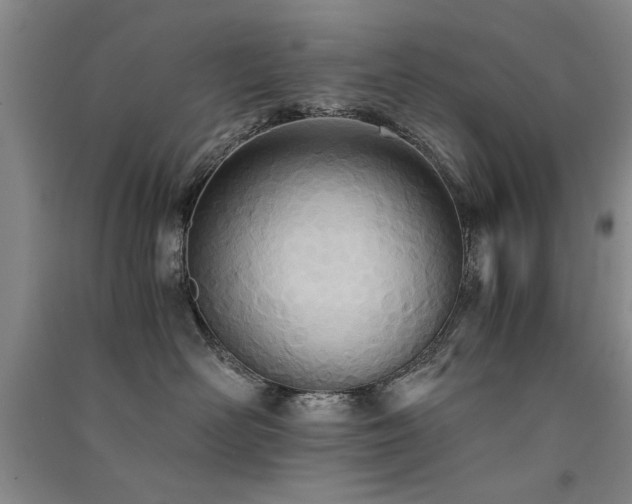 X0000091520526200708171219