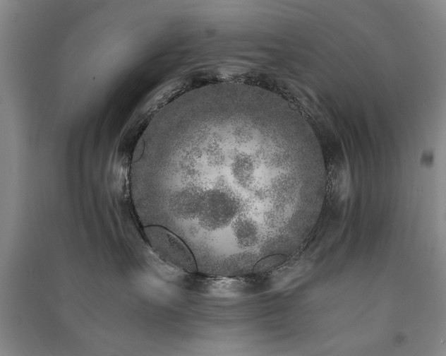 X0000091520527200708171219