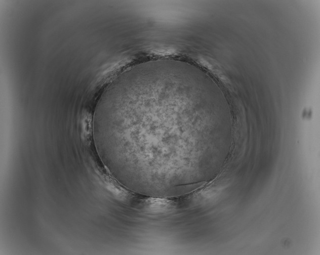 X0000091520528200708171219