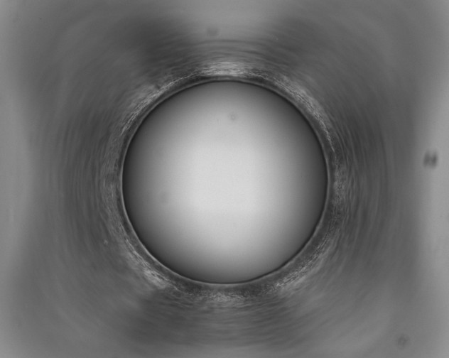 X0000091520529200708171218