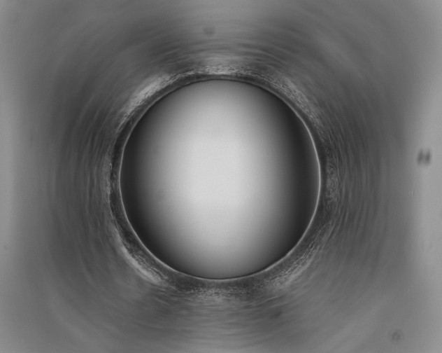 X0000091520530200708171218