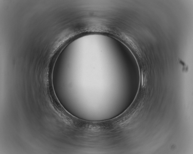 X0000091520531200708171218