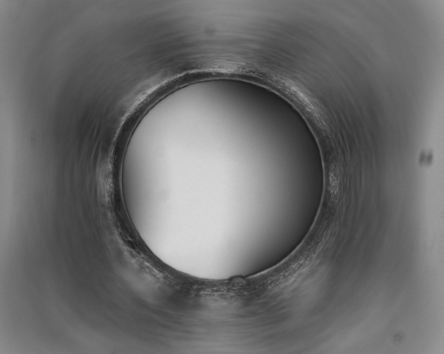 X0000091520532200708171218