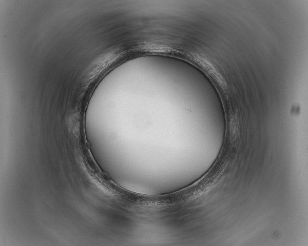 X0000091520533200708171218