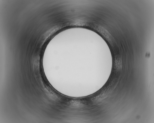 X0000091520534200708171218