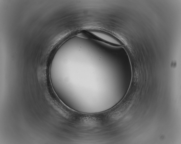 X0000091520535200708171218