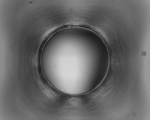 X0000091520536200708171218