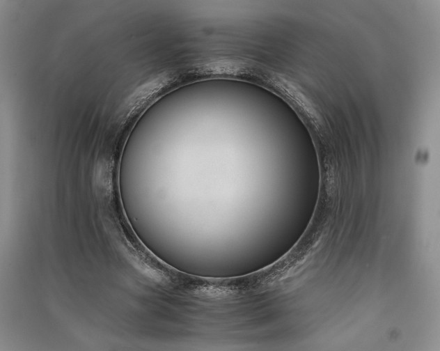 X0000091520537200708171218