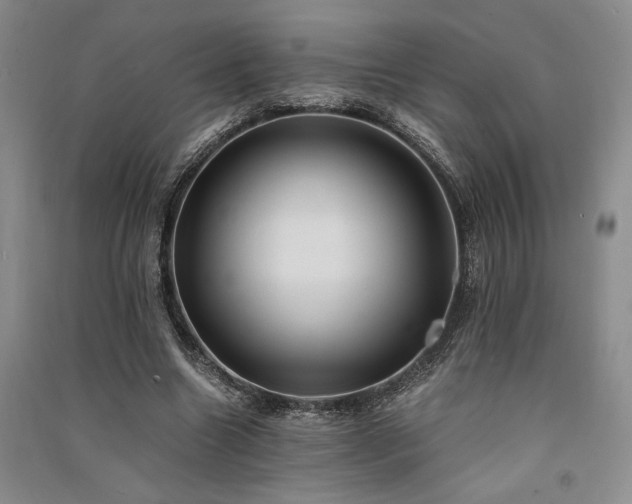 X0000091520538200708171218
