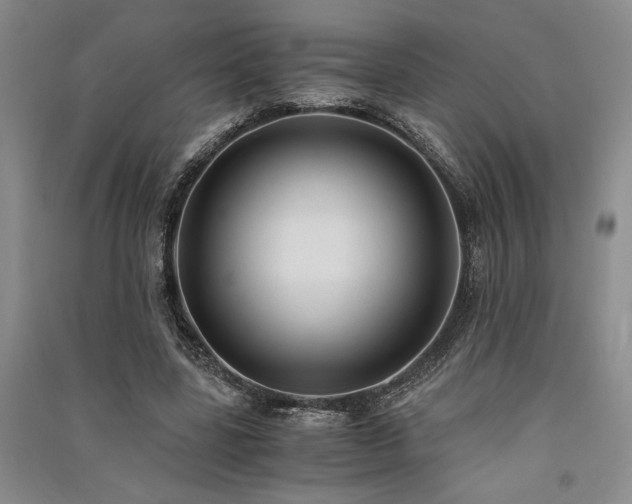 X0000091520539200708171218