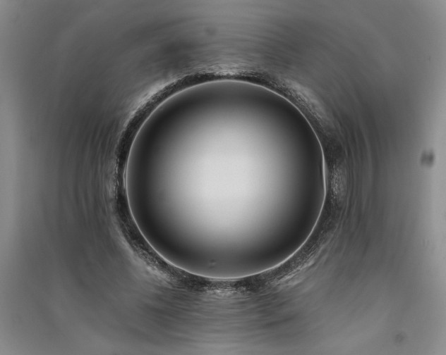 X0000091520540200708171218