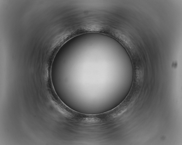 X0000091520541200708171218