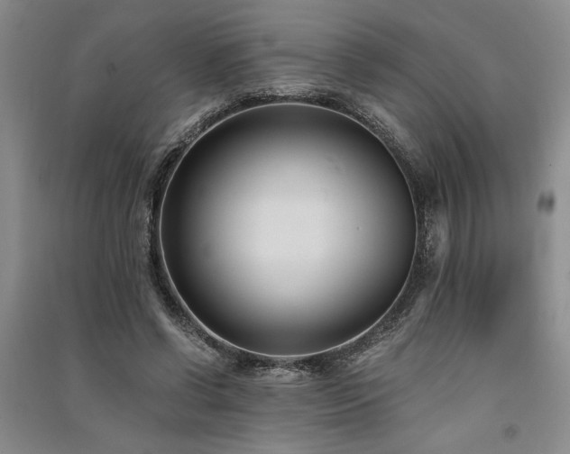 X0000091520542200708171218