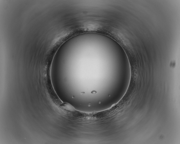 X0000091520543200708171218