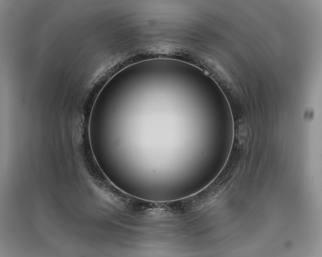 X0000091520544200708171218