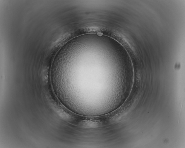 X0000091520545200708171218