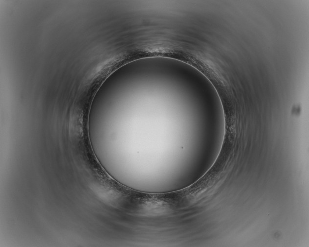 X0000091520547200708171218