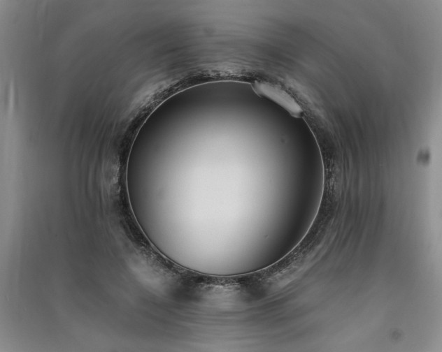 X0000091520548200708171218