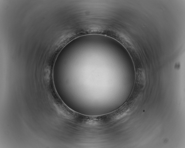 X0000091520550200708171218