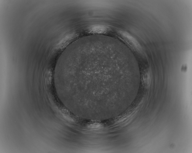 X0000091520551200708171218