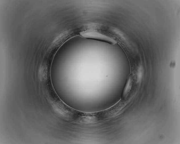 X0000091520552200708171218