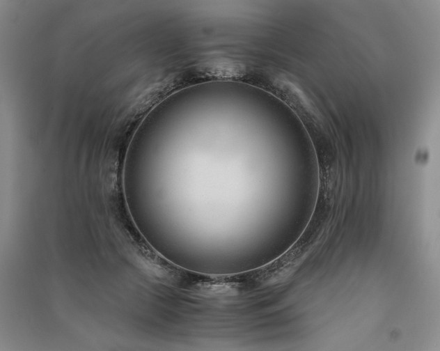 X0000091520553200708171219