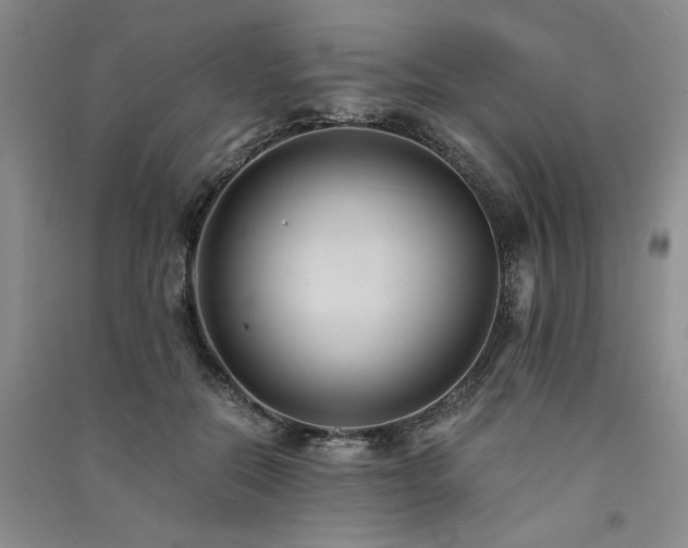 X0000091520554200708171219