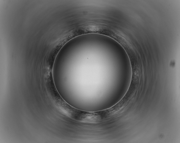 X0000091520555200708171219