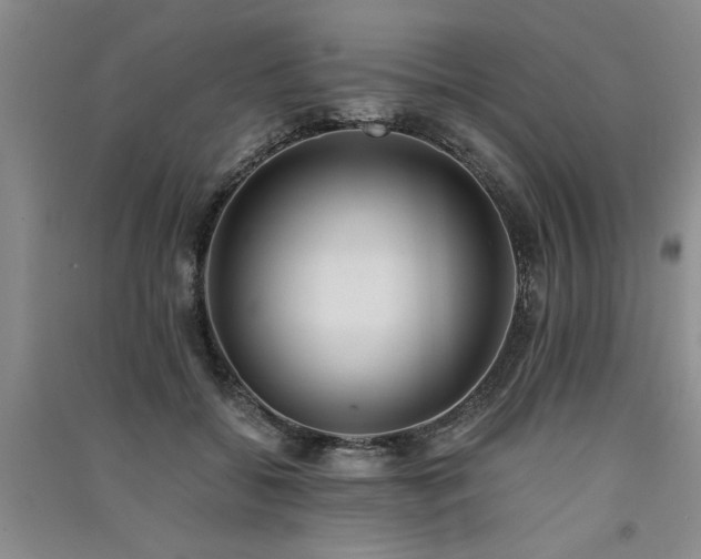 X0000091520556200708171219